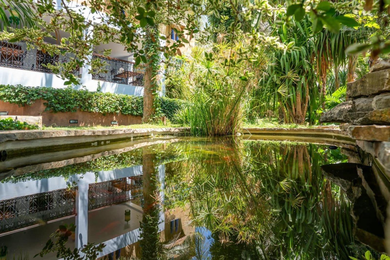 Hotel Molino Garden Чефчауен Екстериор снимка